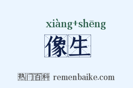 像生是什么意思的图片